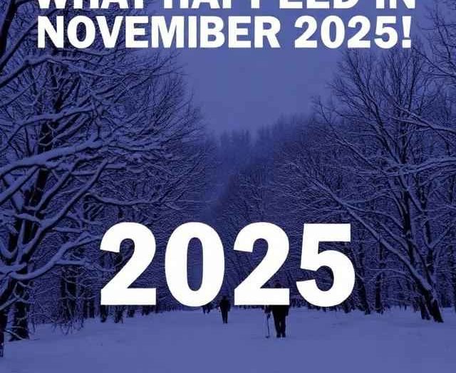 What Happened in November 2025