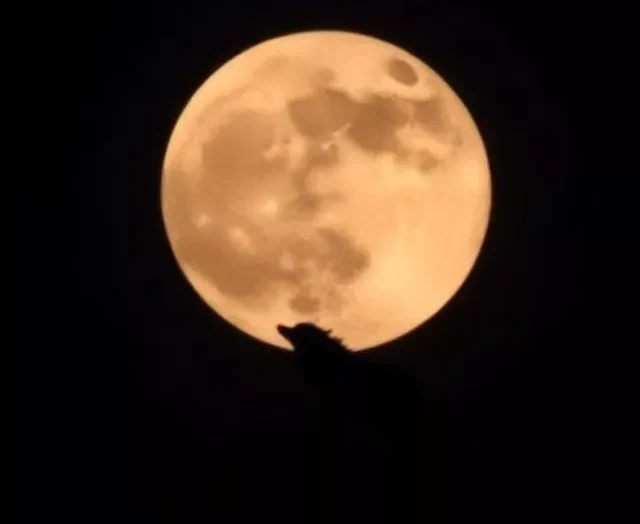 Wolf Supermoon January 3, 2026: Date, Time, Significance